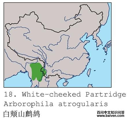 �׼�ɽ���ĵ����ֲ�ͼ