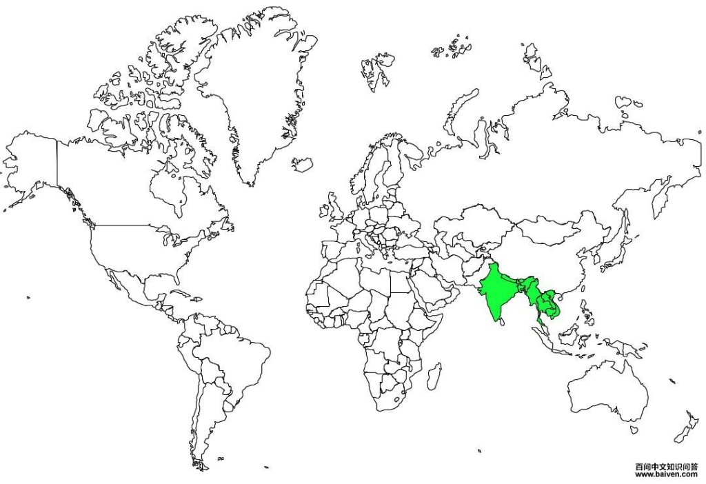 ��ͷ�����̵ĵ����ֲ�ͼ