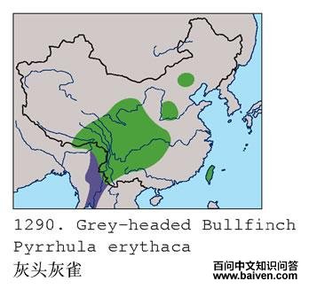 ��ͷ��ȸ�ĵ����ֲ�ͼ