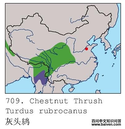 ��ͷ�ĵ����ֲ�ͼ