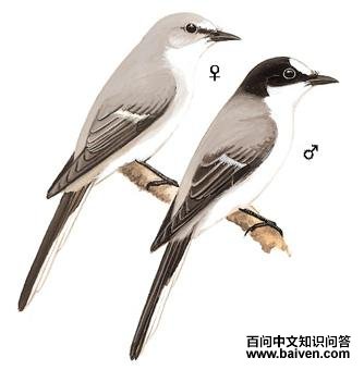 ��ɽ�����ͼ��