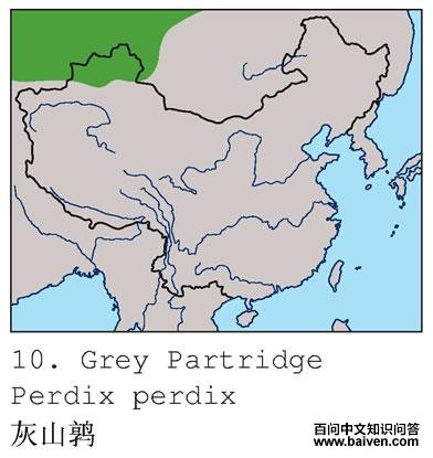 ��ɽ�ȵĵ����ֲ�ͼ