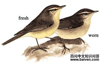 ����ݺ��ͼ��