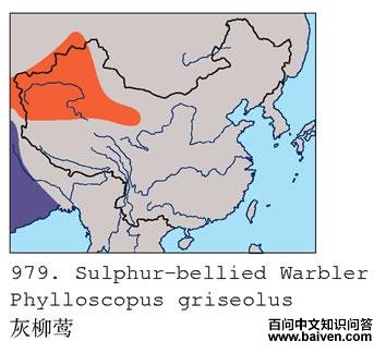 ����ݺ�ĵ����ֲ�ͼ