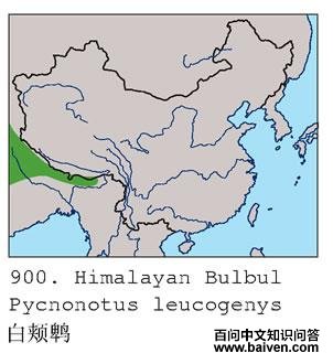 �׼��ǵĵ����ֲ�ͼ