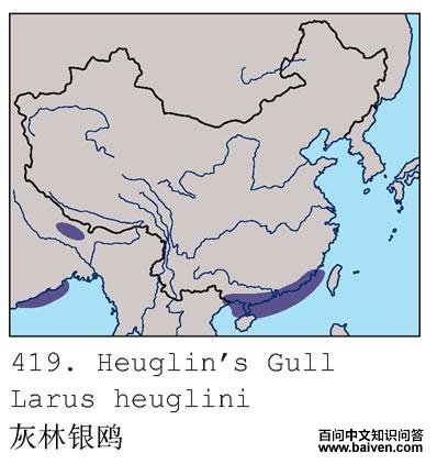 ������Ÿ�ĵ����ֲ�ͼ