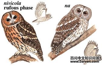 �����^��ͼ��