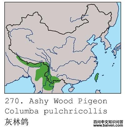 ���ָ�ĵ����ֲ�ͼ