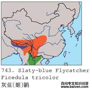 ����[��]�l�ĵ����ֲ�ͼ