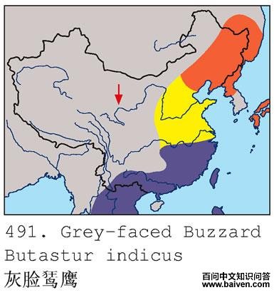 �����\ӥ�ĵ����ֲ�ͼ