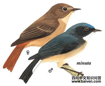 ����[��]�l��ͼ��