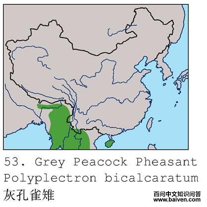 �ҿ�ȸ���ĵ����ֲ�ͼ