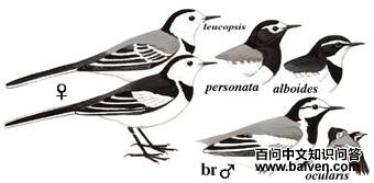 ���n�_��ͼ��