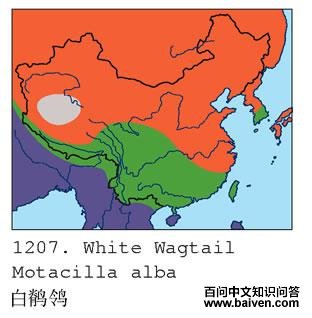 ���n�_�ĵ����ֲ�ͼ