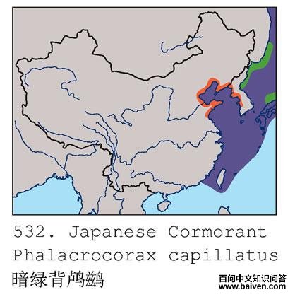 ���̱���˵ĵ����ֲ�ͼ