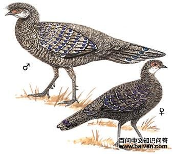 �ҿ�ȸ����ͼ��