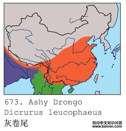 �Ҿ�β�ĵ����ֲ�ͼ