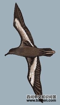 ���׵�ͼ��