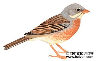 �Ҿ��c��ͼ��