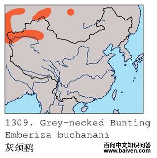 �Ҿ��c�ĵ����ֲ�ͼ