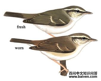 �ҽ���ݺ��ͼ��