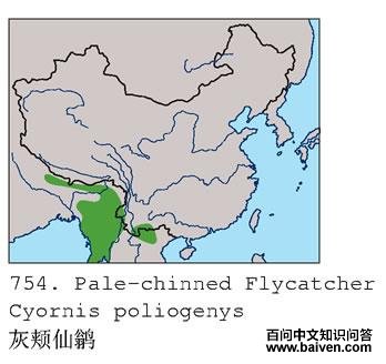 �Ҽ����l�ĵ����ֲ�ͼ