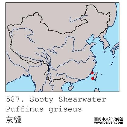 ���׵ĵ����ֲ�ͼ