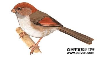 �Һ�ѻȸ��ͼ��