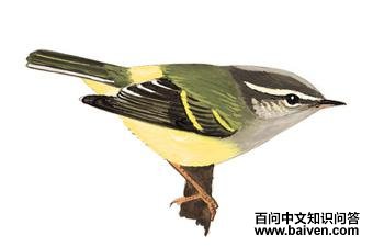 �Һ���ݺ��ͼ��