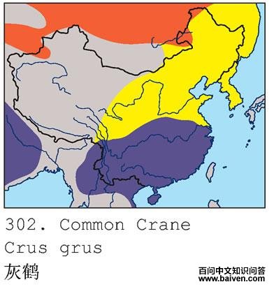 �Һ׵ĵ����ֲ�ͼ