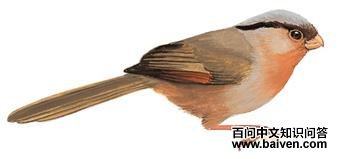 �ҹ�ѻȸ��ͼ��