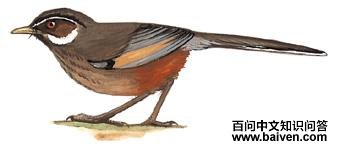 �Ҹ����̵�ͼ��