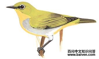 �Ҹ��������ͼ��