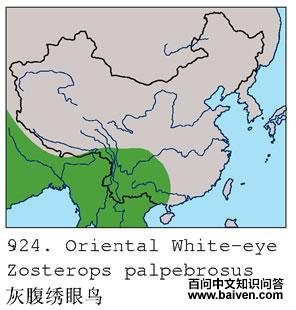 �Ҹ�������ĵ����ֲ�ͼ