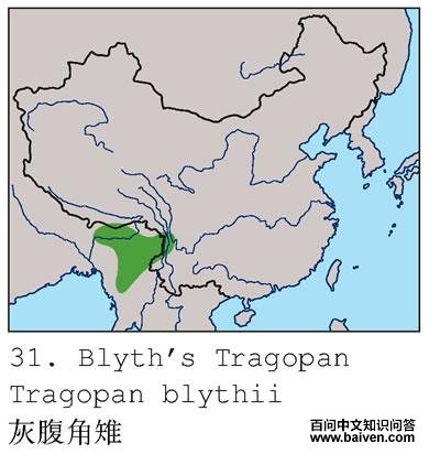 �Ҹ������ĵ����ֲ�ͼ