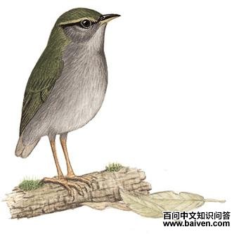 �Ҹ���ݺ��ͼ��