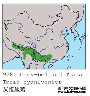 �Ҹ���ݺ�ĵ����ֲ�ͼ