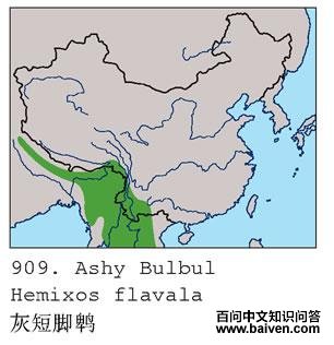 �Ҷ̽��ǵĵ����ֲ�ͼ