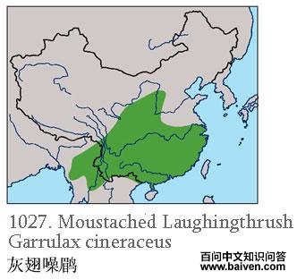 �ҳ����̵ĵ����ֲ�ͼ