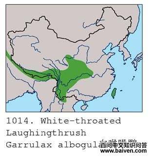 �׺����̵ĵ����ֲ�ͼ