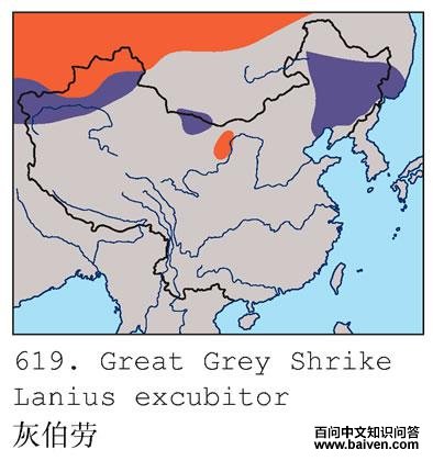 �Ҳ��͵ĵ����ֲ�ͼ