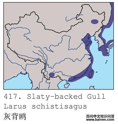 �ұ�Ÿ�ĵ����ֲ�ͼ