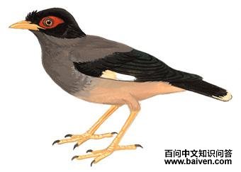 �ұ����˸��ͼ��