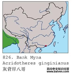 �ұ����˸�ĵ����ֲ�ͼ