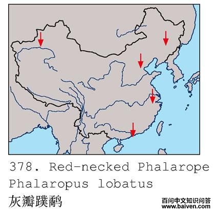 �Ұ����ֵĵ����ֲ�ͼ