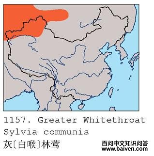 ��[�׺�]��ݺ�ĵ����ֲ�ͼ