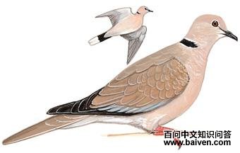 �Ұ���ͼ��