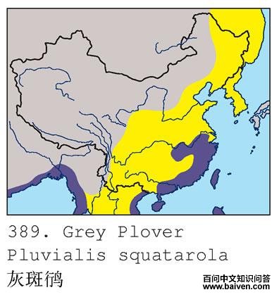 �Ұ��a�ĵ����ֲ�ͼ