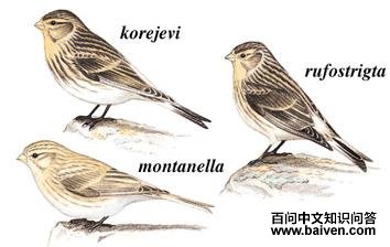 �����춥ȸ��ͼ��