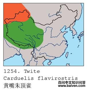 �����춥ȸ�ĵ����ֲ�ͼ